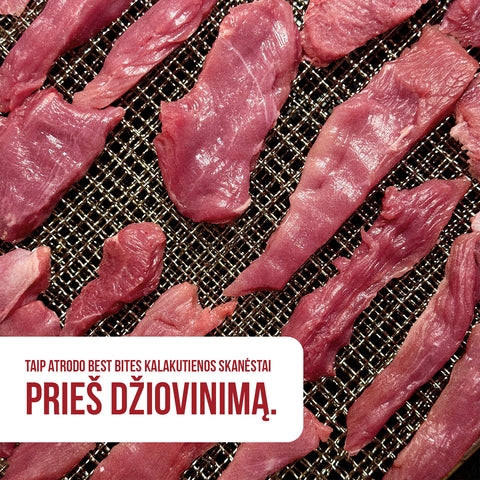 Kalakutienos Jerky (Virškinimui + Nervų Sistemai) - Best Bites